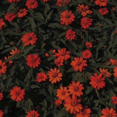 im电竞官方网站入口截图