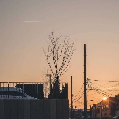 365平台官方版下载