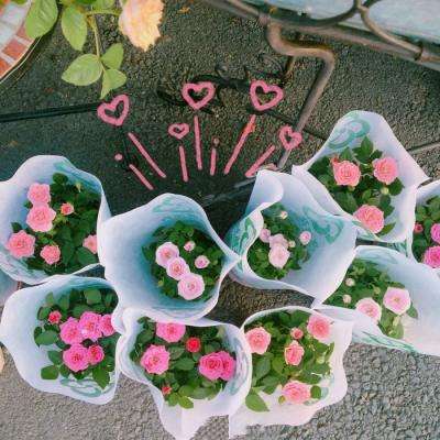 宝博游戏下载手机版