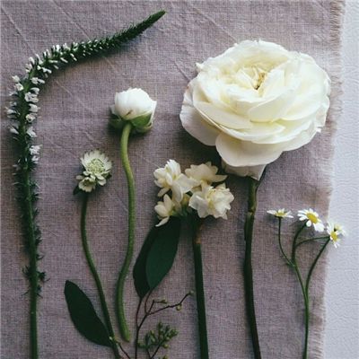 pg麻将胡了下载app下载